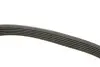 Фото Ремінь генератора Citroen Jumpy /Fiat Scudo/Peugeot Expert 2.0 i/ Renault Kangoo 1.9D 97- (6PK1190) HUTCHINSON (1190K6) зображення 2
