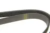 Фото Ремінь генератора Citroen Jumpy /Fiat Scudo/Peugeot Expert 2.0 i/ Renault Kangoo 1.9D 97- (6PK1190) HUTCHINSON (1190K6) зображення 3