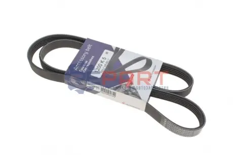 Ремінь генератора Renault Kangoo 1.5dCi/Master/Opel Movan 2.5D/2.8DTI 98-01 (5PK1200) HUTCHINSON 1200K5 Купити в Україні