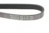 Фото Ремінь генератора Opel Astra J/Insignia A 1.4 09-15 HUTCHINSON (1205K5) зображення 4