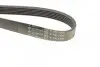 Поликлиновый ремень HUTCHINSON (1205K6) изображение 4