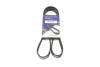 Фото Ремінь генератора Renault Kangoo 1.9dTi/dCi 01 HUTCHINSON (1210K6) зображення 1