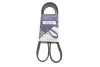 Фото Ремінь генератора Renault Kangoo 1.9dTi/dCi 01- (6PK1212) HUTCHINSON (1212K6) зображення 2