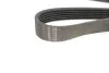 Фото Ремінь генератора Renault Kangoo 1.9dTi/dCi 01- (6PK1212) HUTCHINSON (1212K6) зображення 3
