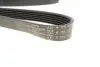Фото Ремінь генератора Renault Kangoo 1.9dTi/dCi 01- (6PK1212) HUTCHINSON (1212K6) зображення 4