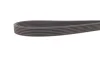 Ремінь генератора VW T5 1.9TDI/VW Caddy 1.9/2.0TDI (6DPK1215) HUTCHINSON (1215KDF6) зображення 5