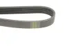 Фото Ремінь генератора Fiat Scudo 2.0 D Multijet/Citroen Jumpy/Peugeot Expert 2.0 HDi (6PK1220) HUTCHINSON (1220K6) зображення 4