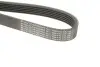 Фото Ремінь генератора Fiat Scudo 2.0 D Multijet/Citroen Jumpy/Peugeot Expert 2.0 HDi (6PK1220) HUTCHINSON (1220K6) зображення 5