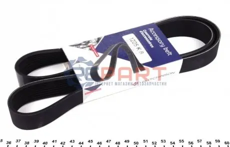 Фото Поликлиновый ремень HUTCHINSON (1225K8) изображение 1