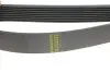 Фото Ремінь генератора Mazda 2.0 MZR 07-10 HUTCHINSON (1230K8) зображення 3