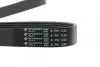 Фото Ремінь генератора Mazda 2.0 MZR 07-10 HUTCHINSON (1230K8) зображення 4