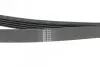 Фото Ремінь генератора Hyundai i10/i20 1.2 13 HUTCHINSON (1236SK5) зображення 3