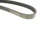 Фото Ремінь генератора Renault Clio/Kangoo 1.4i/1.6 98-03 (4PK1237) HUTCHINSON (1237K4) зображення 4