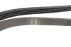 Фото Ремінь генератора Renault Clio/Kangoo 1.4i/1.6 98-03 (4PK1237) HUTCHINSON (1237K4) зображення 5
