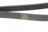 Фото Ремінь генератора Renault Laguna 2.0 95-01 (6PK1240) HUTCHINSON (1237K6) зображення 2