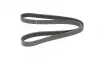Фото Ремінь генератора Renault Laguna 2.0 95-01 (6PK1240) HUTCHINSON (1237K6) зображення 3