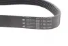 Фото Ремінь генератора Renault Twingo 0.9TCe 14 HUTCHINSON (1240K7) зображення 3