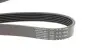 Фото Ремінь генератора Ford Focus 1.8/2.0 04-12 (6PK1249) HUTCHINSON (1249SK6) зображення 2