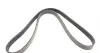 Фото Ремінь генератора Ford Focus 1.8/2.0 04-12 (6PK1249) HUTCHINSON (1249SK6) зображення 5