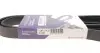 Фото Ремінь генератора Ford Focus 1.8/2.0 04-12 (6PK1249) HUTCHINSON (1249SK6) зображення 6