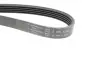 Фото Ремінь генератора Peugeot Partner 1.4-1.6 16V 96-15/ Toyota Avensis/ Corolla2.0 D-4D 03-09 HUTCHINSON (1253 K 5) зображення 3