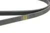 Фото Ремінь генератора Renault Megane I 1.6e/1.4i/1.6i 96-03 HUTCHINSON (1270K4) зображення 4
