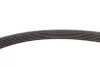 Фото Ремінь генератора Opel Combo 1.7CDI 04-/Fiat Bravo 1.9D Multijet 07- (6PK1270) HUTCHINSON (1270K6) зображення 2