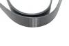 Ремінь генератора VW T4 2.8VR6 00-03 (7PK1281) HUTCHINSON (1281K7) зображення 3