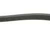 Фото Ремінь генератора VW Golf/VW Bora 2.3 -00 (6PK1285) HUTCHINSON (1285K6) зображення 2