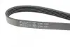 Фото Ремень генератора MB A-class (W168) 97-04 HUTCHINSON (1295 K 5) изображение 4