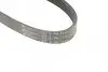 Фото Ремень (поликлиновый) HUTCHINSON (1310K5) изображение 3