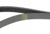 Фото Ремень (поликлиновый) HUTCHINSON (1310K5) изображение 4