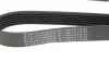 Фото Ремінь генератора Fiat Doblo 1.3D Multijet/1.3JTD/Ford Focus 1.8/2.0 04- (6PK1310) HUTCHINSON (1310K6) зображення 2
