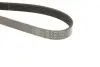 Фото Ремінь генератора Fiat Punto/Opel Combo 1.3 CDTI 05- (6PK1318) HUTCHINSON (1318K6) зображення 5