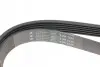 Фото Ремінь генератора Ford Fiesta 1.4TDCI 01 HUTCHINSON (1336K6) зображення 4