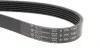 Фото Ремінь генератора Citroen Berlingo 1.6HDI 08- (6PK1360) HUTCHINSON (1360K6) зображення 3