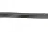 Фото Ремінь генератора Toyota Land Cruiser 200 4.5 D-4D 07 HUTCHINSON (1389K4) зображення 2