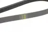 Фото Ремінь генератора Toyota Land Cruiser 200 4.5 D-4D 07 HUTCHINSON (1389K4) зображення 3