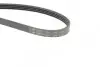 Фото Ремінь генератора Toyota Land Cruiser 200 4.5 D-4D 07 HUTCHINSON (1389K4) зображення 4