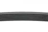 Фото Ремінь генератора Hyundai Accent II 1.5CRDi 02-05 HUTCHINSON (1395 K 6) зображення 2