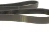 Фото Ремінь генератора Citroen Berlingo/Fiat Scudo 1.9D (6PK1435) HUTCHINSON (1435K6) зображення 2