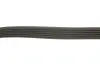 Фото Ремінь генератора Citroen Berlingo/Fiat Scudo 1.9D (6PK1435) HUTCHINSON (1435K6) зображення 4