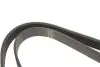 Фото Ремінь генератора Citroen Berlingo/Fiat Scudo 1.9D (6PK1440) HUTCHINSON (1440K6) зображення 3