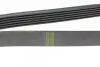Фото Ремінь генератора Peugeot 406 (6PK1479) HUTCHINSON (1479K6) зображення 3