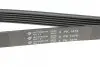 Фото Ремінь генератора Peugeot 406 (6PK1479) HUTCHINSON (1479K6) зображення 4