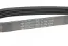 Ремень (поликлиновый) HUTCHINSON (1500K6) изображение 4