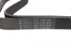 Поликлиновый ремень HUTCHINSON (1515K7) изображение 2