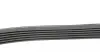 Фото Ремінь генератора Ford Focus 1.8 TDCi 05-12 HUTCHINSON (1520K6) зображення 2