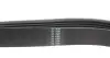 Фото Ремінь генератора Ford Focus 1.8 TDCi 05-12 HUTCHINSON (1520K6) зображення 3