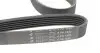 Фото Ремінь генератора Ford Focus 1.8 TDCi 05-12 HUTCHINSON (1520K6) зображення 4